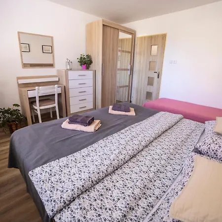 Guest house Ubytovani U Vavru 3*